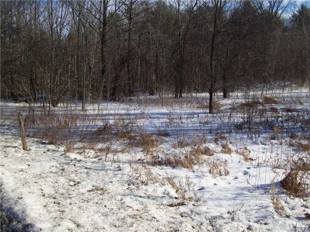Bradford 6 Acre Homestead Parcel : Bradford : Penobscot County : Maine