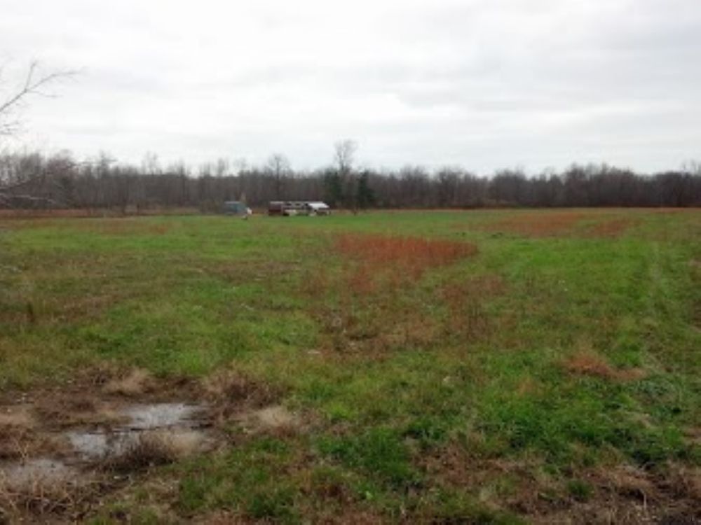 Ohio Land for Sale 113 A Ashtabula : Saybrook : Ashtabula County : Ohio