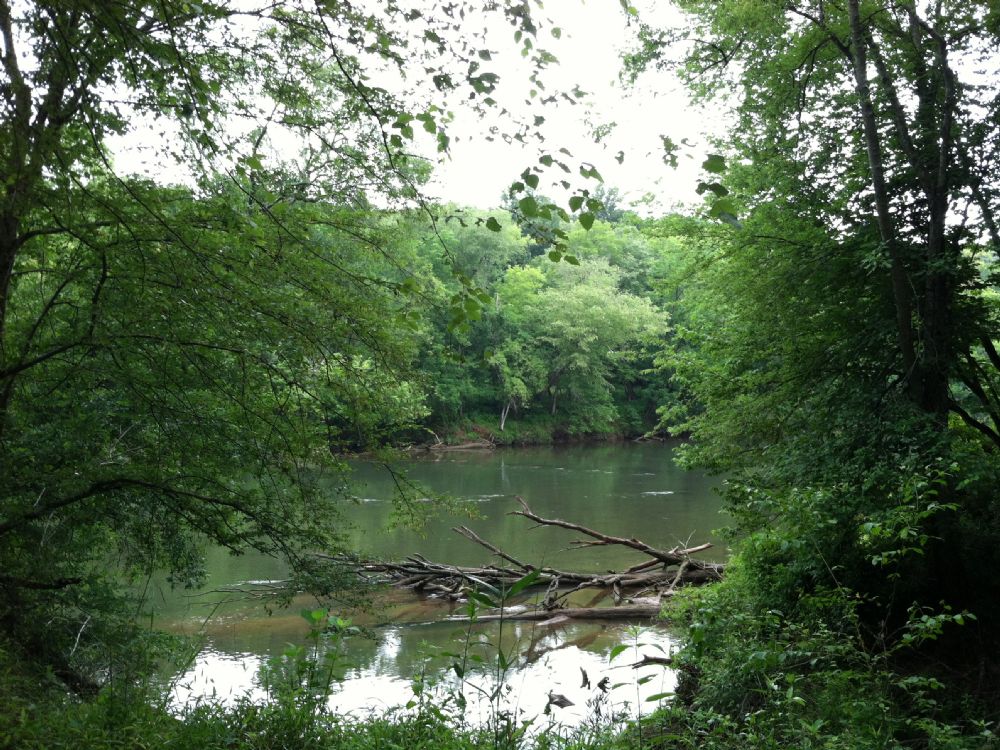Etowah River 8.5 Acre Lot : Kingston : Bartow County : Georgia