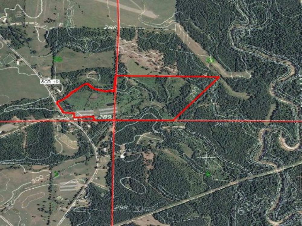 73.7 Acres : Raleigh : Smith County : Mississippi