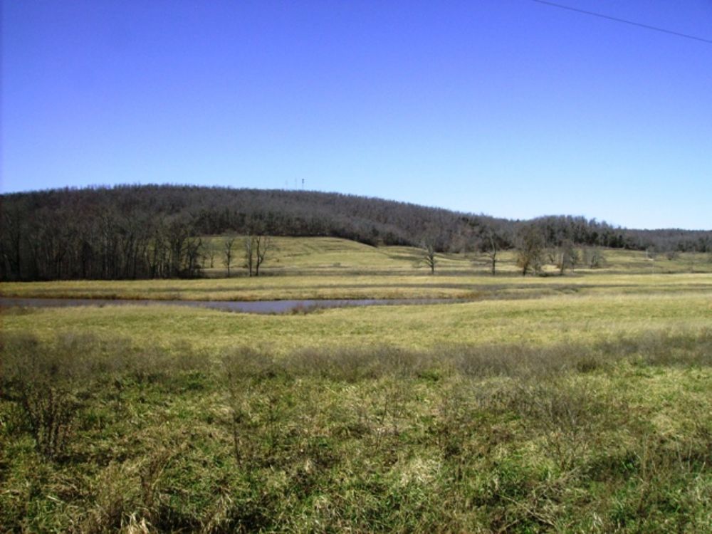 422 +/- Acre Cattle Farm : Marshall : Searcy County : Arkansas