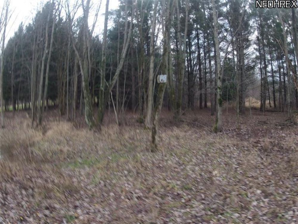21+ Wooded Acres- Hunting Property : Farmington : Trumbull County : Ohio