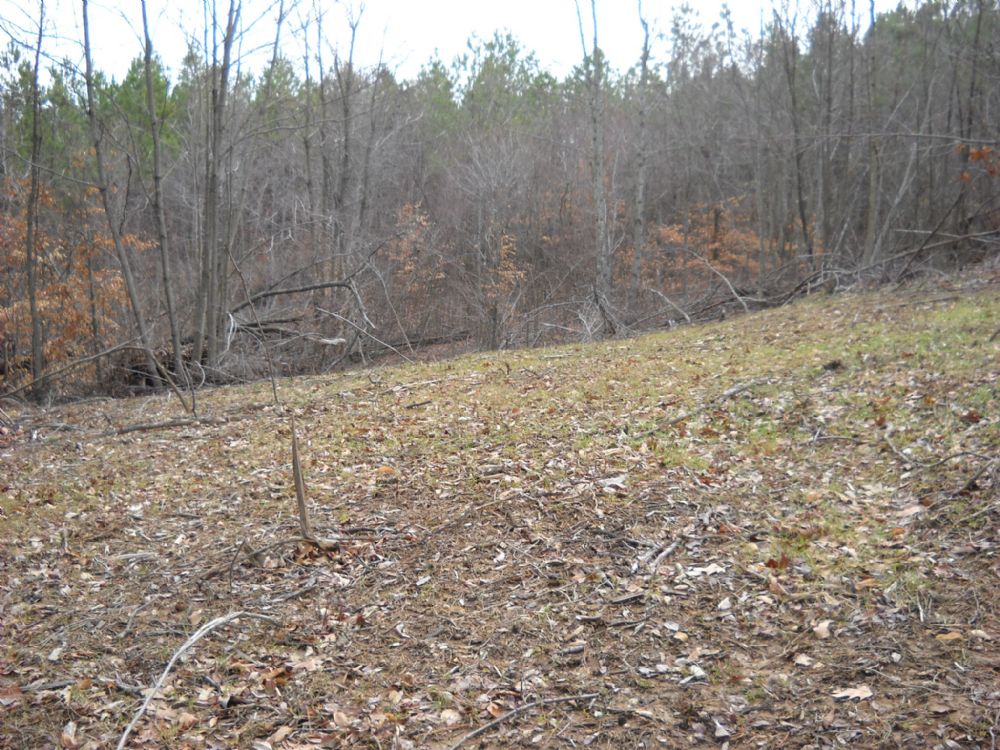 33 Acres Owner Financed, Farm for Sale in Kentucky, 59412 FARMFLIP