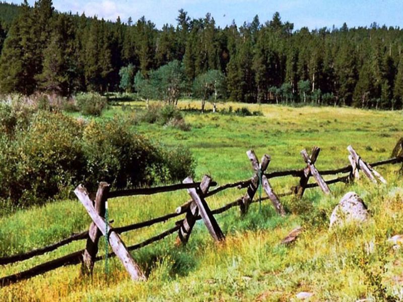 Jensen Ranch : Red Feather Lakes : Larimer County : Colorado