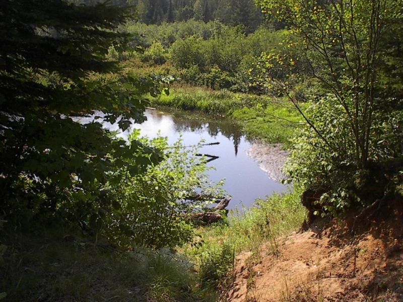 Tbd Off Co Rd 410 Mls 1070975 : Newberry : Luce County : Michigan