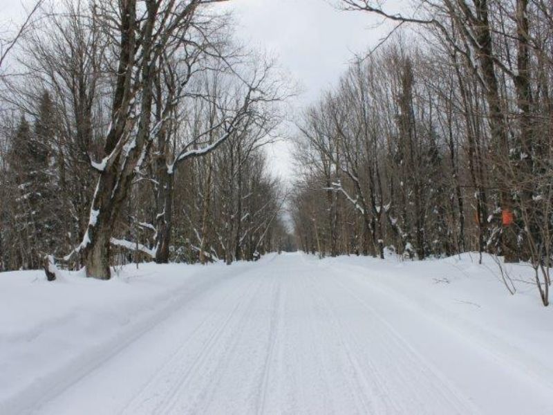 51 Acres Remote Recreational Land : Montague : Lewis County : New York