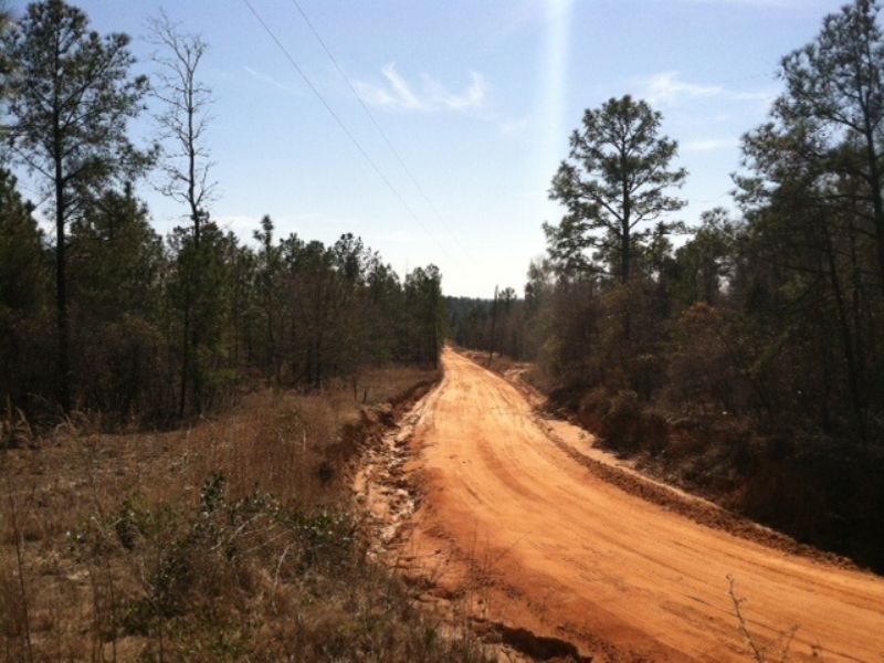 Rural Home Site Or Minifarm : Buena Vista : Marion County : Georgia