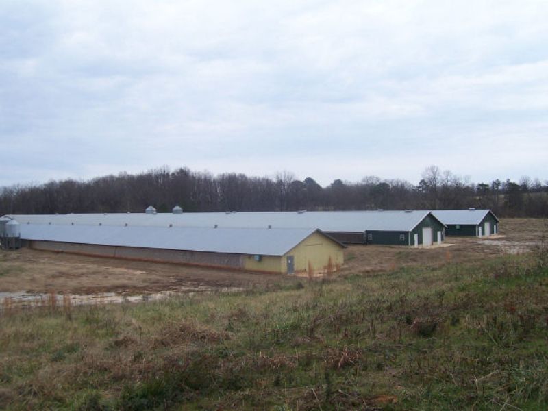 poultry farm for sale in georgia poultry farm for sale in georgia