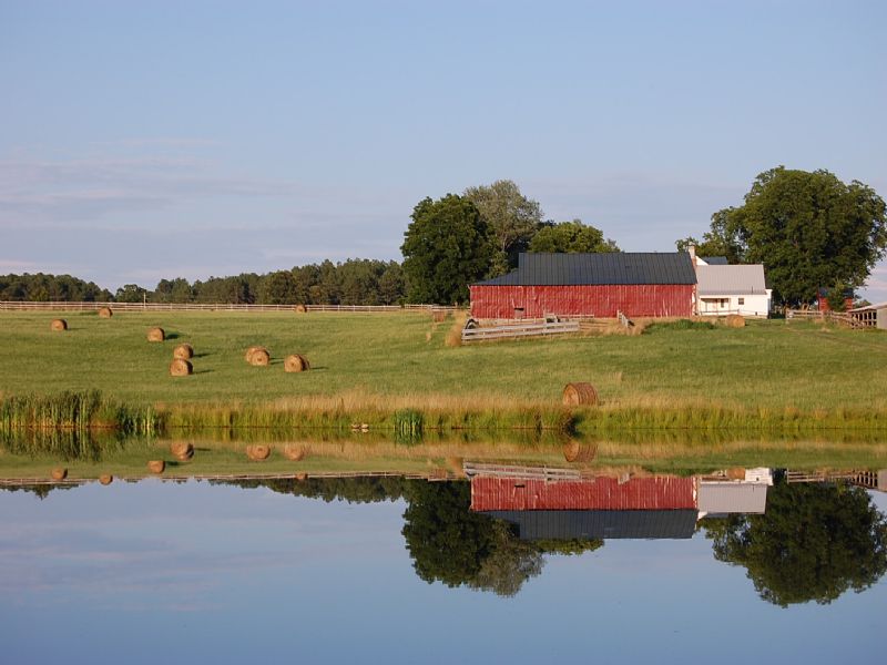 Virginia Crop Land for Sale : Brodnax : Brunswick County : Virginia