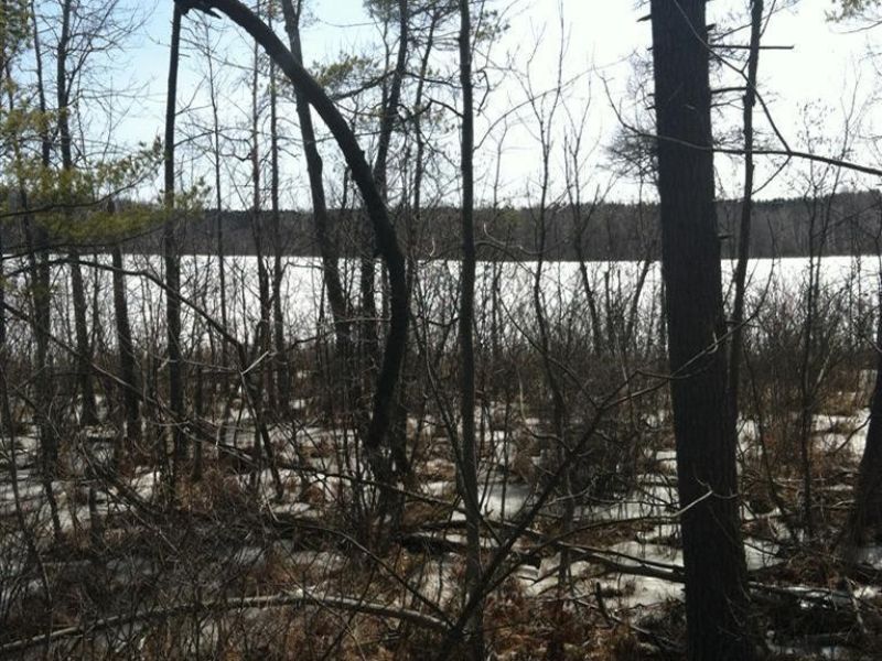 Own 98% Of Mudd Lake : Sidney : Montcalm County : Michigan