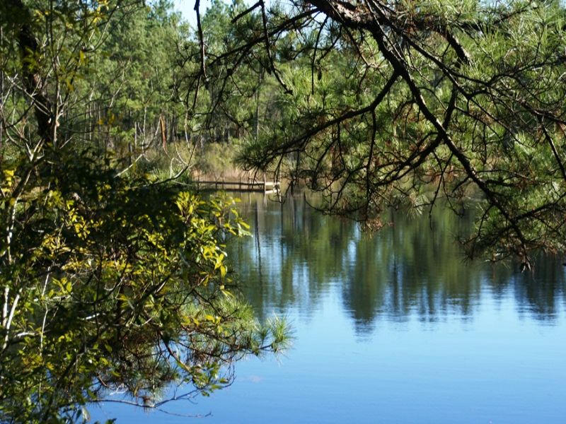 Honey Hole : Monticello : Jefferson County : Florida