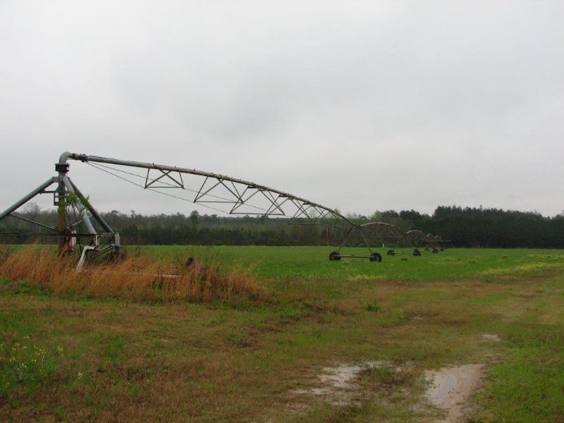 Georgia Organic Farm : Twin City : Bulloch County : Georgia