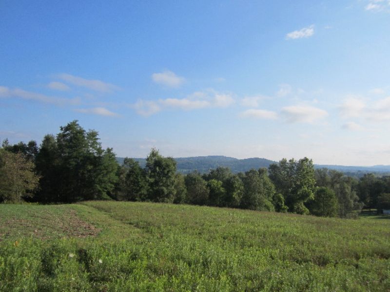 18 Acres Farmland Pond Views : Caroline : Tompkins County : New York