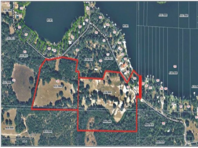 h-207 Serenity Arabian Farms : Hawthorne : Putnam County : Florida
