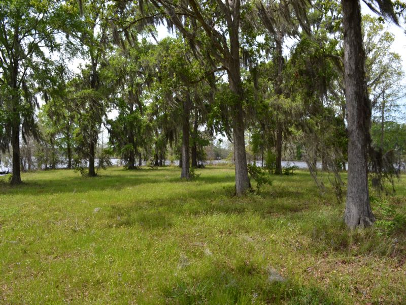 Nantachie Lake : Montgomery : Grant Parish : Louisiana