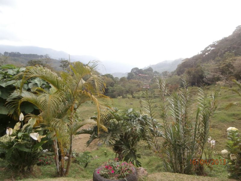 5 Ac Springs, Trout Ponds, Pasture : Orosi : Costa Rica