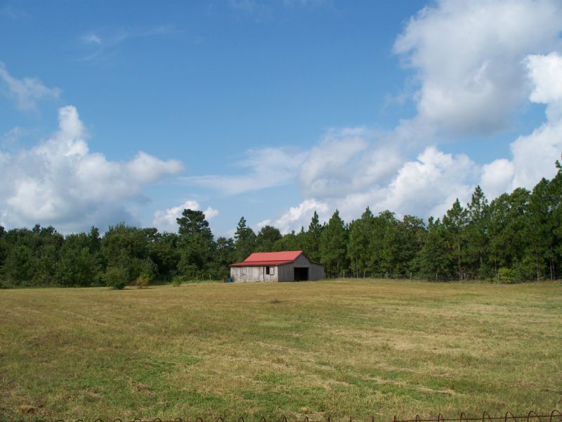 Daniel Tract : Kelly : Columbus County : North Carolina