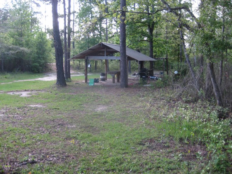 83 Acres : Lumberton : Lamar County : Mississippi