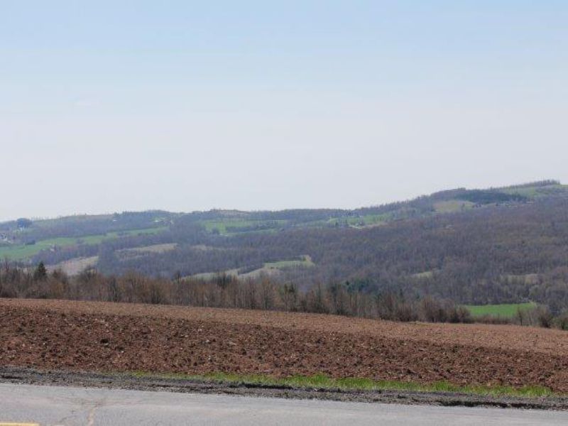 11 Acres Farmland Mountain Views : Lincoln : Madison County : New York