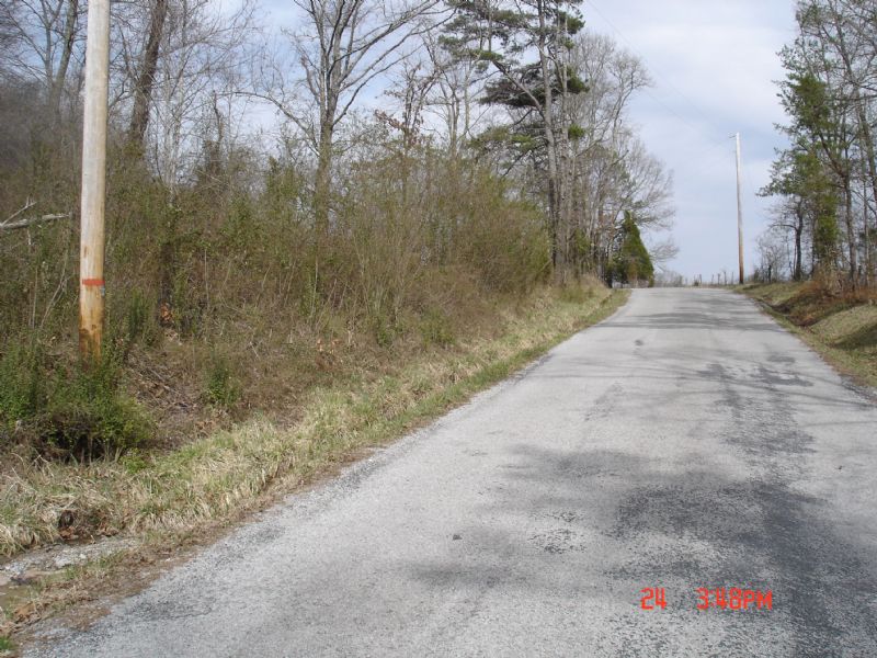 Attractive Tract for A Homesite : Rockwood : Cumberland County : Tennessee
