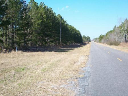 186 +- Acres, Timber, Duck Pond : Americus : Sumter County : Georgia