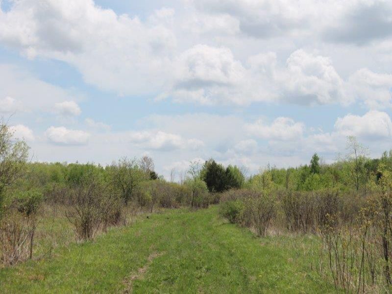 85 Acres Development Potential : Charleston : Montgomery County : New York