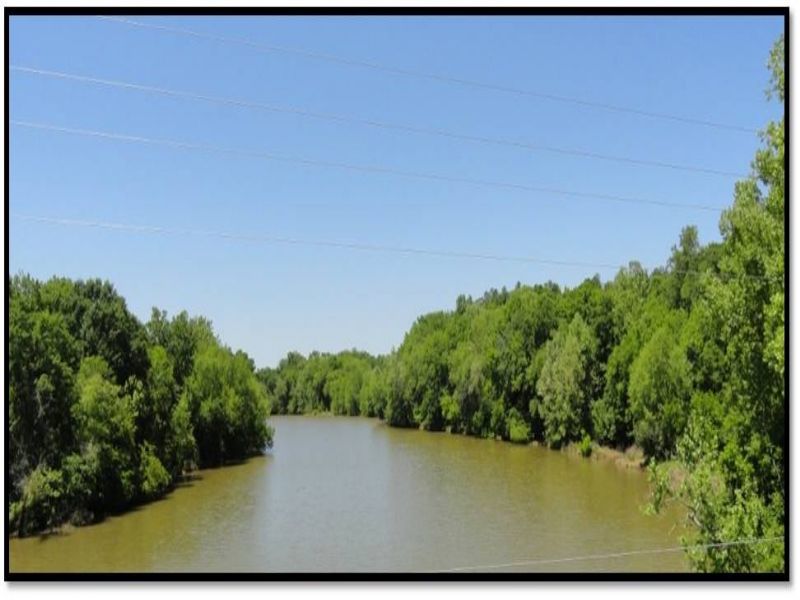 Ware Shoals River Tract : Ware Shoals : Laurens County : South Carolina