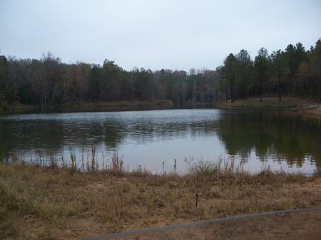 200 +- Acre Retreat, Cabin, Lake : Randolph : Randolph County : Georgia
