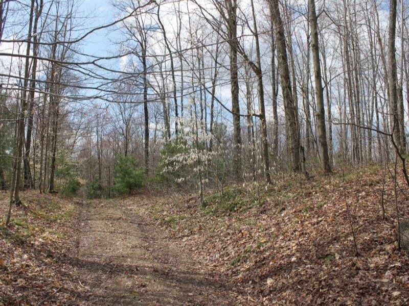 6 Acres Remote Land for Hunting : Amboy : Oswego County : New York