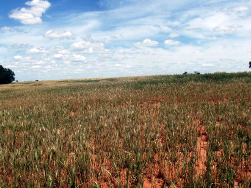 40± Acres, Minerals, Major County : Meno : Major County : Oklahoma