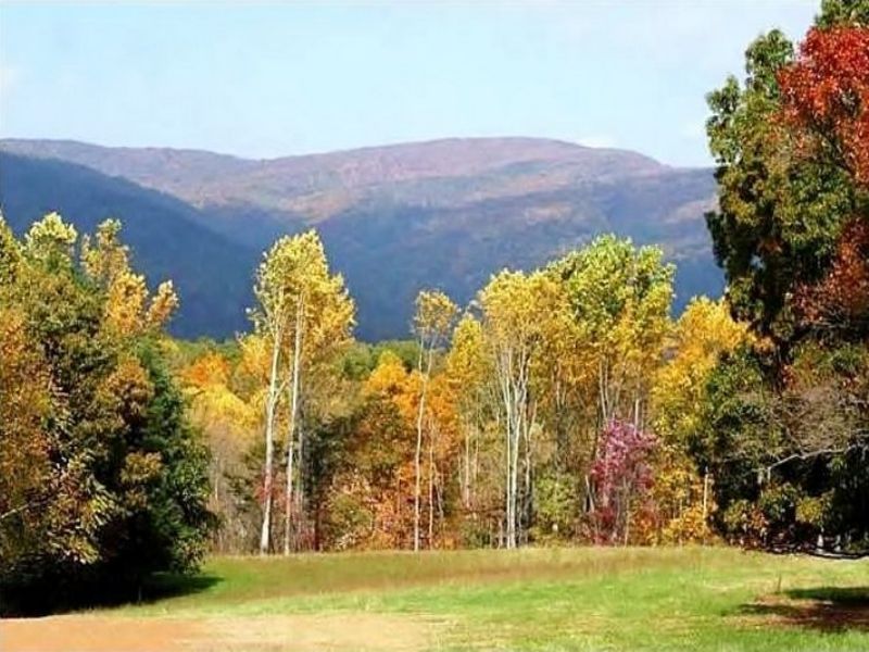 Quiet and Secluded On Jenevan Lane : Afton : Albemarle County : Virginia