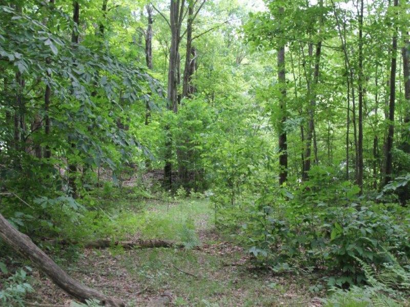 63 Acres Wooded Hunting Land : Parish : Oswego County : New York