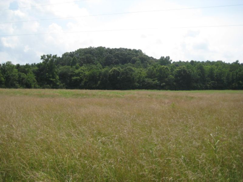 25.85 Acres Pasture & Timber : Rydal : Bartow County : Georgia