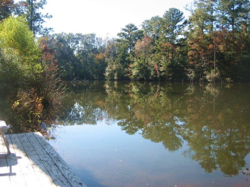 23-001 Yellow River Tract : Andalusia : Covington County : Alabama