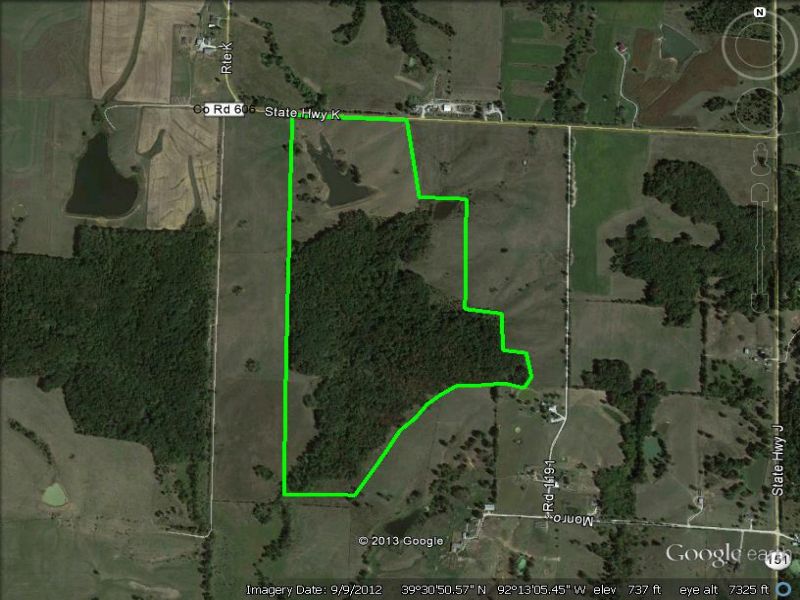 132 Acres Mostly Woods : Madison : Monroe County : Missouri