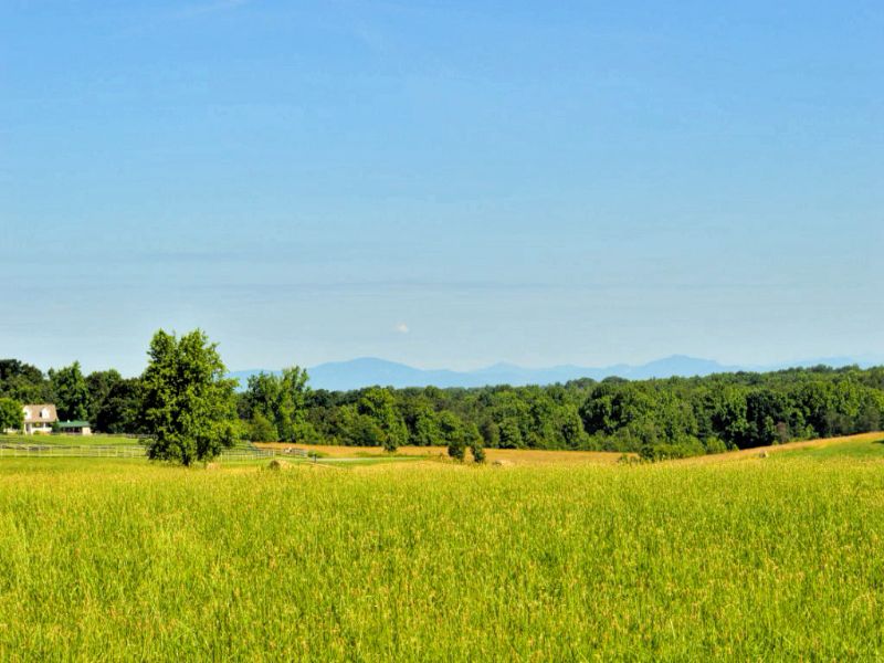 15 Acre Farm with Cooley Springs : Chesnee : Spartanburg County : South Carolina