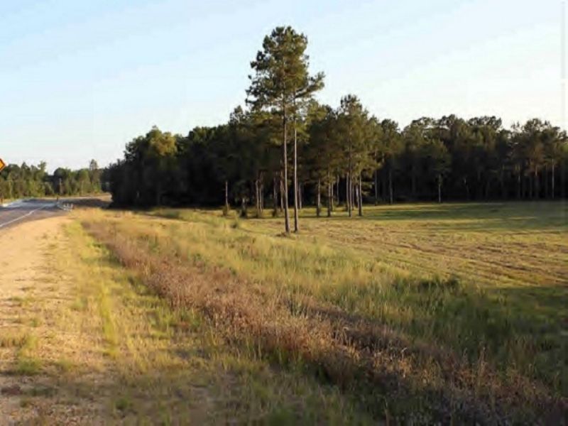 Great Homesite W/ Additional Ac. : Columbia : Marion County : Mississippi