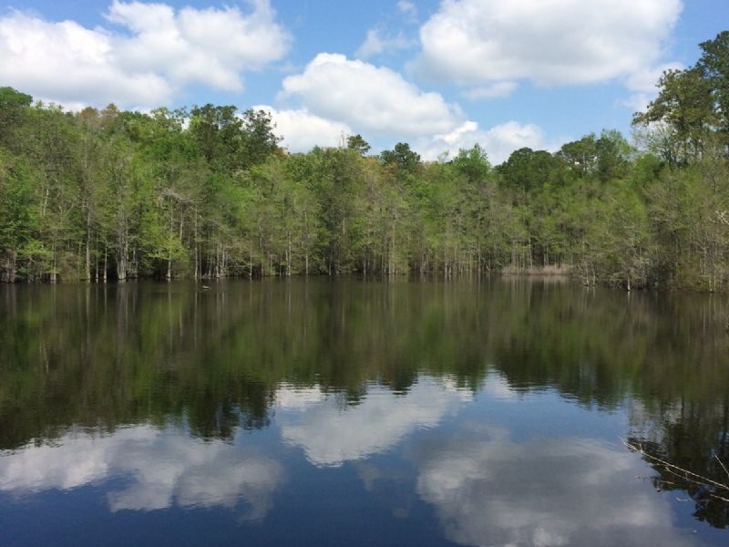 Twin Ponds Farm for Sale in Chattahoochee, Gadsden County, Florida