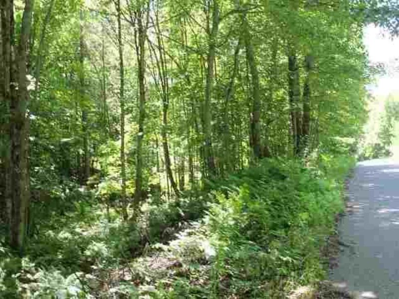 Tbd Chief Lake Road Mls 1074231 : Republic : Marquette County : Michigan
