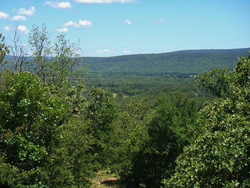 Flagpole Ridge 272 Acres : Clayton : Pushmataha County : Oklahoma