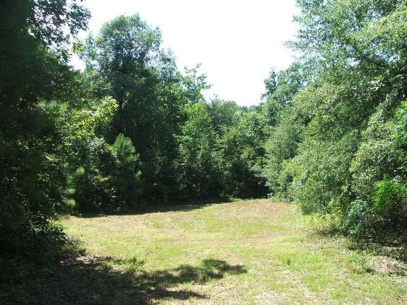 84 Acres Heiberger Tract : Marion : Perry County : Alabama