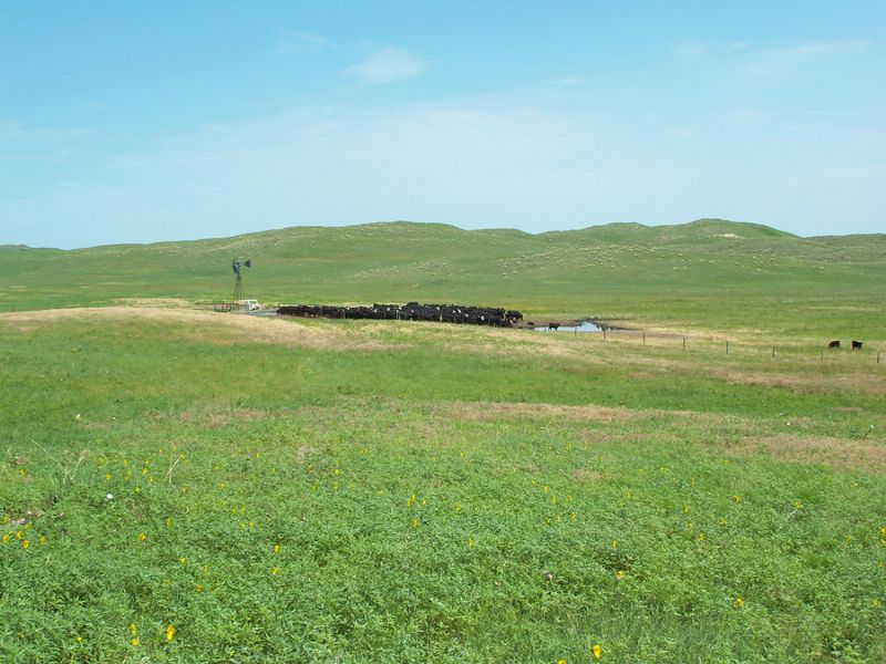 Gordon Creek Ranch, Farm Auction in Nebraska, 64702 FARMFLIP