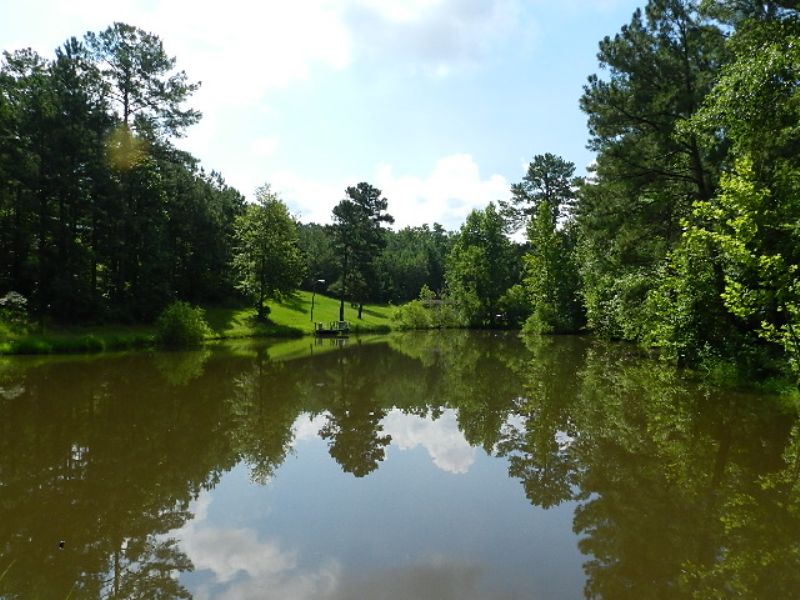 Juliette Jewel-pond~timber~cabins : Juliette : Jones County : Georgia