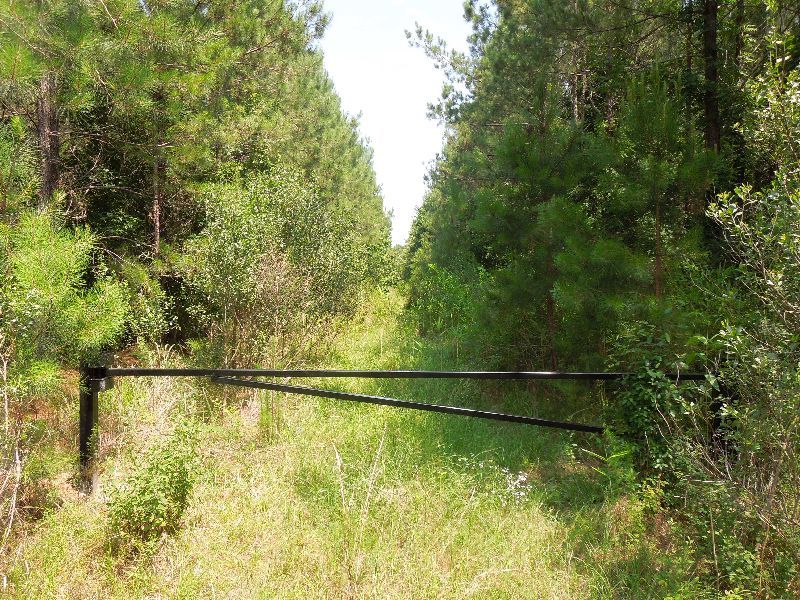 Princess Pond Block 3a/3b Combined : Summerton : Clarendon County : South Carolina