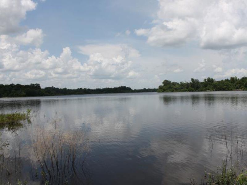 Lake Philema Tracts : Americus : Sumter County : Georgia