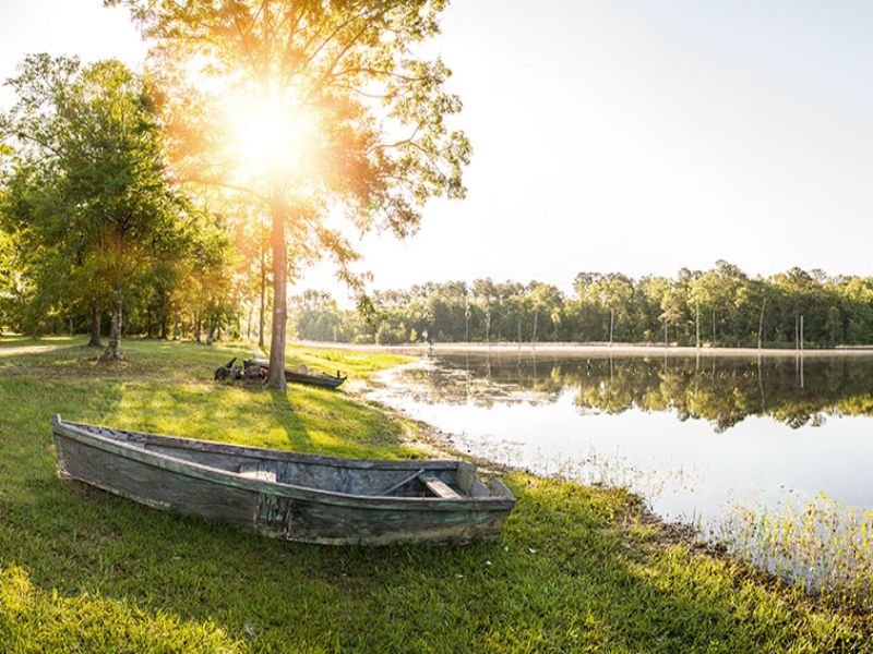 The Vineyard : Yemassee : Colleton County : South Carolina