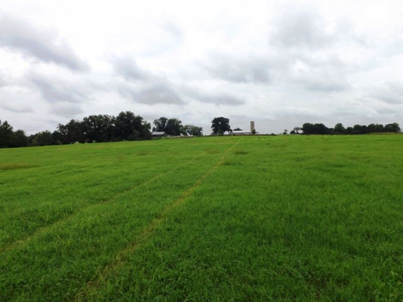 Banks Farm Farm for Sale in Statesboro, Bulloch County,