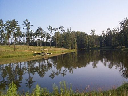 Lakeview Plantation : Madison : Morgan County : Georgia