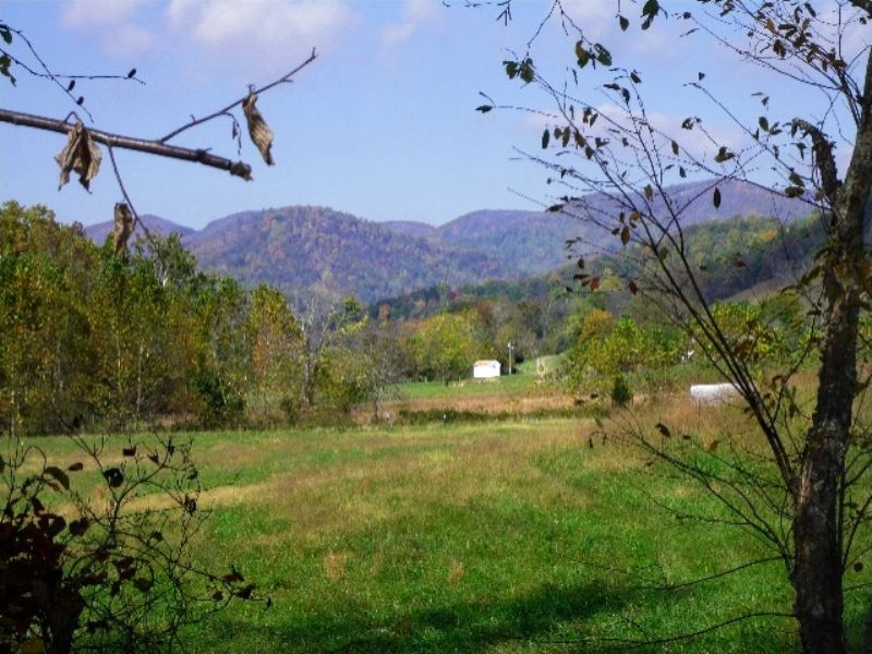 Graves Mill Rapidan, Farm for Sale in Virginia, 65272 FARMFLIP