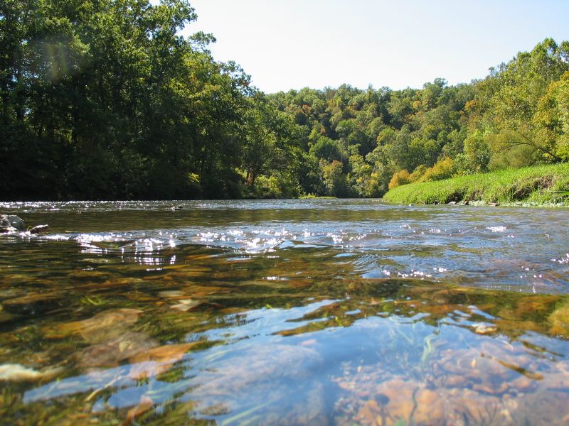 600 Acres On The Spring River : Hardy : Fulton County : Arkansas